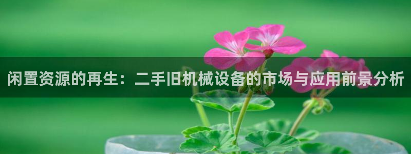 琳琅娱乐 全麦优质