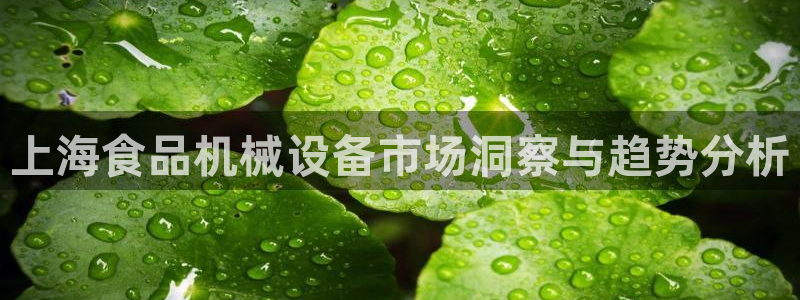 琳琅娱乐代理