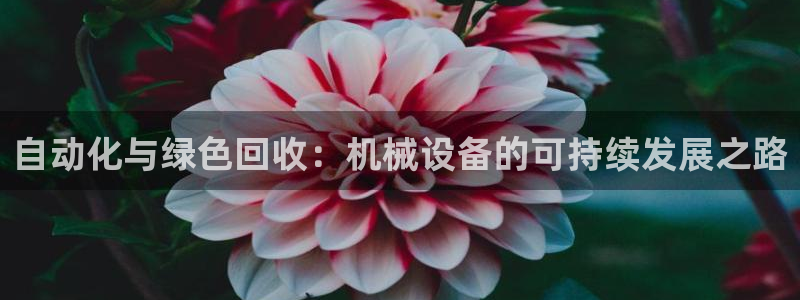 琳琅娱乐平台