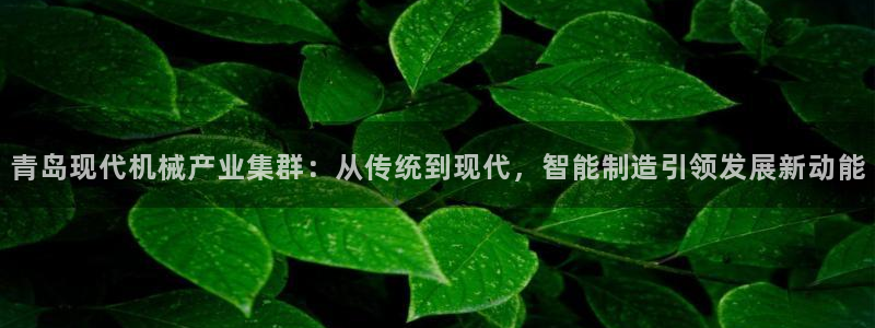 琳琅娱乐在哪直播的
