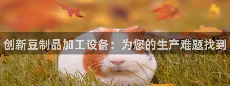 娱乐 从琳琅榜开始