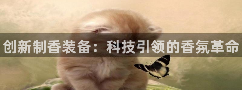 娱乐 从琳琅榜开始