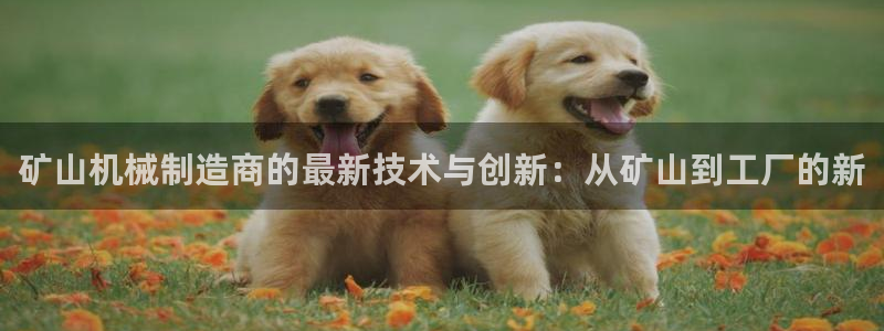 琳琅社区娱乐视频