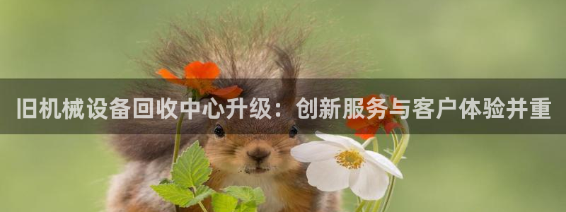 琳琅娱乐招商注册