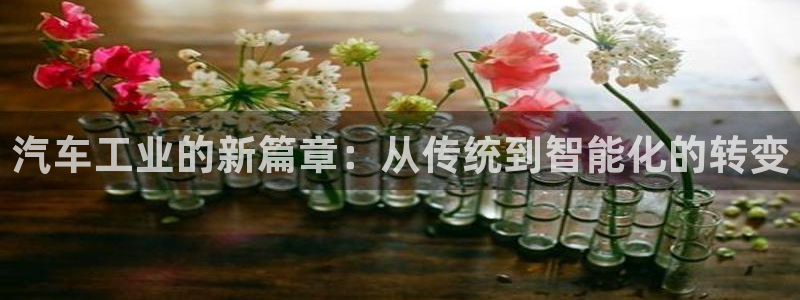 琳琅娱乐代理注册