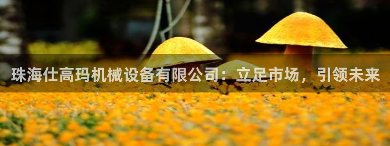 琳琅娱乐场所有哪些