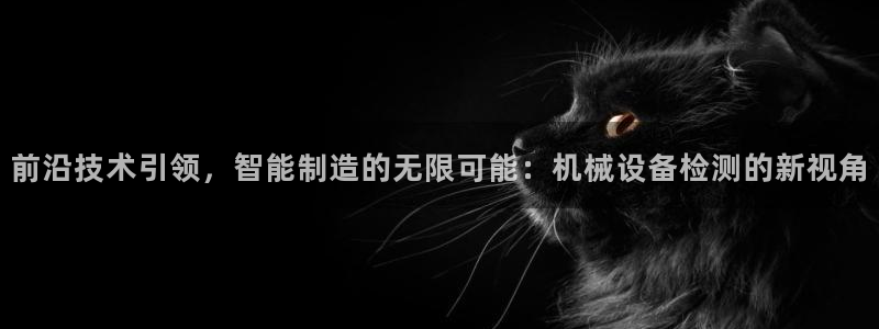 琳琅科技娱乐机器人