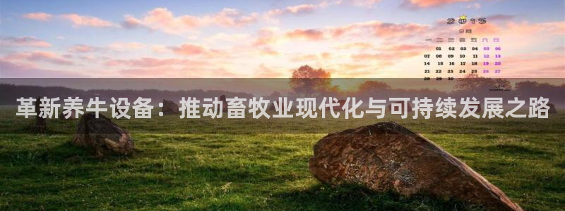 琳琅娱乐 全麦优质