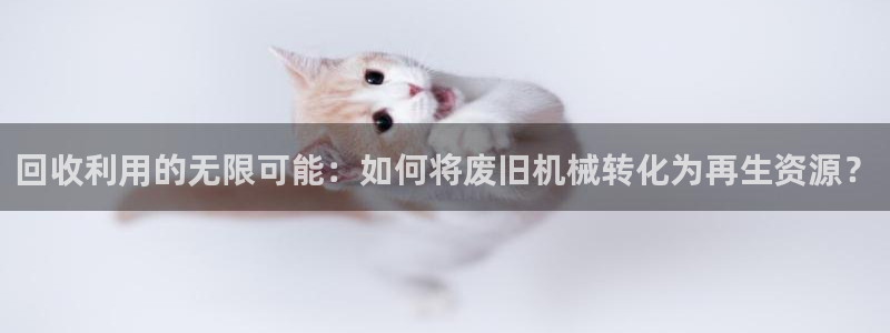 琳琅娱乐工作室地址