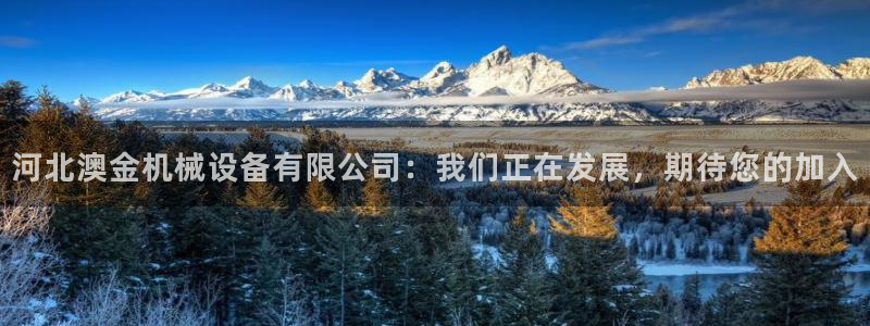 琳琅娱乐平台帐7O777