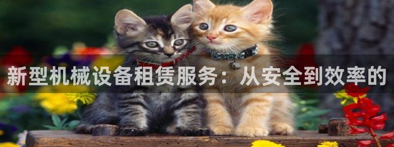 琳琅科技娱乐qq机器人词库