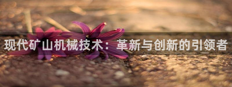 琳琅娱乐主管是谁