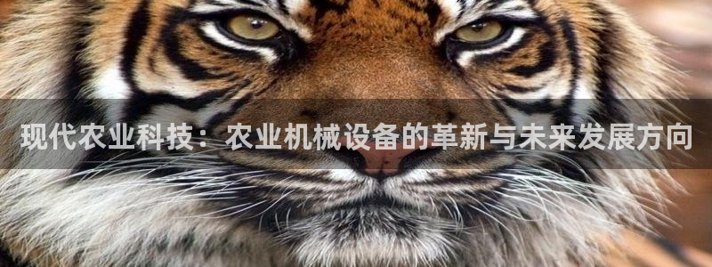 祖龙娱乐官网爱在琳琅