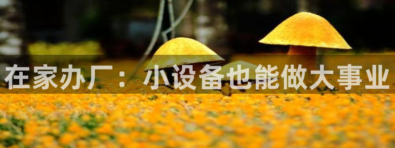 琳琅科技娱乐机器人下载