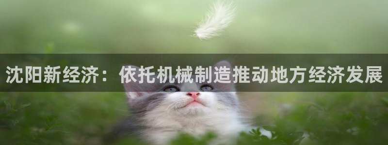 琳琅娱乐平台是真的吗