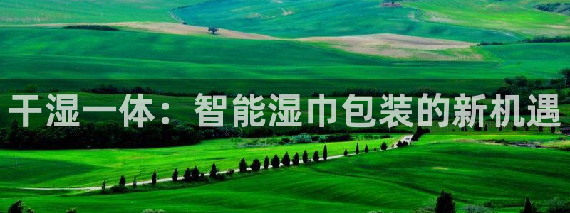 琳琅满目的娱乐设施