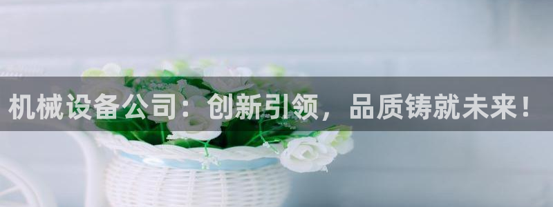 琳琅娱乐组飞车