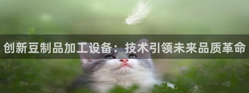 琳琅科技娱乐机器人