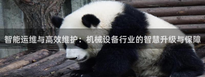 琳琅娱乐平台怎么样啊