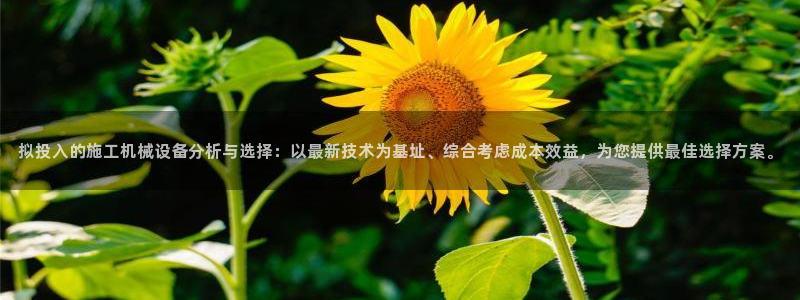 琳琅AV娱乐