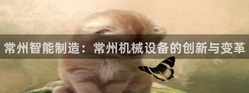 琳琅娱乐招商
