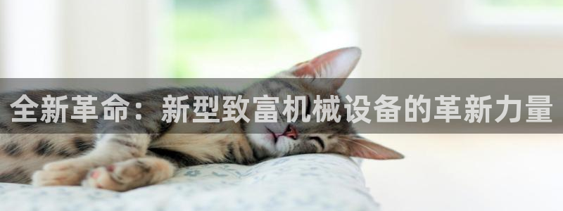 琳琅娱乐代理人是谁
