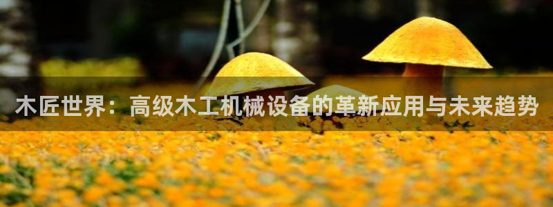 琳琅娱乐官网