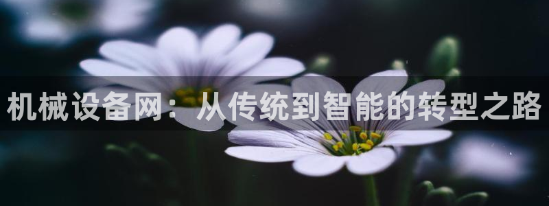 娱乐从琳琅榜开始