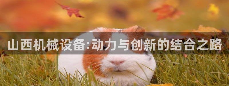 琳琅娱乐官网